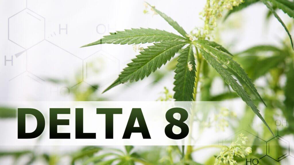 Is Delta 8 The Same As CBD?
